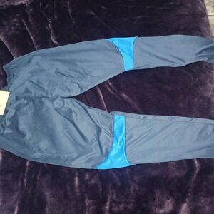 Nike Gray and Blue Athletic Pants